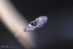 This euhedral crystal in a Sri Lankan spinel displays obvious growth striations on its surface. Striations actually consist of tiny crystal faces and result from oscillatory growth, where growth oscillates between two different faces, each growing for just a brief time.