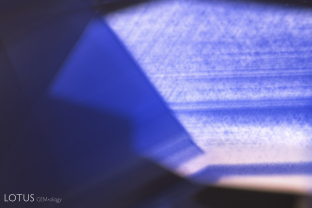 “Ink spot internal diffusion” surrounding partially resorbed rutile silk indicates that this stone has been heated. During treatment, the rutile dissolves, sending titanium into solution, thus coloring the stone blue around the silk.