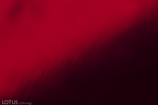 Curved striae reveal the true nature of this Verneuil flame fusion synthetic ruby.