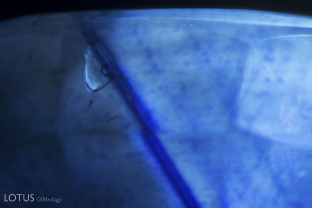 A melted crystal with a frozen gas bubble inside is suspended over a backdrop of partially dissolved silk which displays “inkspot” internal diffusion.