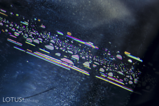 When a crystal grows, surface irregularities may create conditions where fluids can be trapped, as we can see in these iridescent thin films in a sapphire from Myanmar’s Mogok Stone Tract. They all reflect light at the same time because their crystal faces are in an identical orientation.
