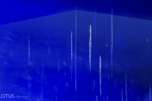 Strings of fine exsolved particles decorate the interior of this Madagascar sapphire.