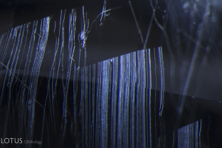 Sets of fine growth tubes form delicate curtains in this Madagascar sapphire.