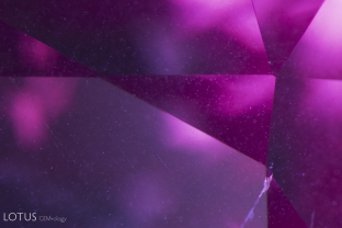 Small dust-like particles a scattered throughout the interior of this Mahenge spinel.