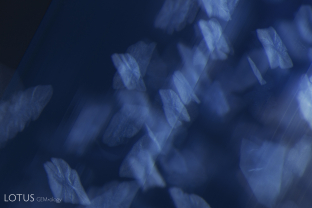 Delicate, wispy inclusions seem to float against the sharp angular growth zoning of this Madagascar sapphire.