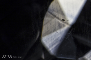 A small crystal with an iridescent thin-film decrepitation halo surrounding it. When a crystal is heated (either by a magma or artificially by human intervention), it expands. Tension is often relieved by a fissure in the weakest direction, the basal plane.