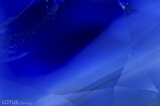 The zoned texture clouds in this Madagascar sapphire are associated with colorless areas, while the deepest blue areas are relatively free of these particle clouds.
