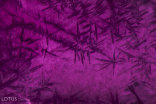A dendritic healing pattern creates leaf-like imagery inside this untreated Mogok ruby.