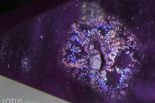 A crystal is suspended in a rosette “halo” in this untreated Tajik ruby.