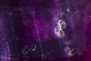 Small rosettes and exsolved particles decorate the interior of this Tajik ruby.