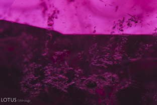 These tiny transparent crystals with irregular black material inside are a common feature in Tajik ruby.