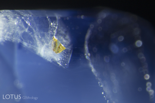 One crucial difference between Kashmir sapphires and those from Madagascar or Sri Lanka is that Kashmir sapphires almost never contain yellow staining in their fissures, while such epigenetic stains are common in Madagascar and Sri Lankan stones. The image here shows such a yellow epigenetic stain a Kashmir-like blue sapphire from Madagascar.