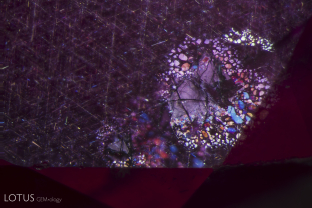 Bright “rosettes” highlight the mica crystals inside this untreated Mozambique ruby.