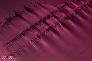 Red planet. Like the surface of a distant world, a simple conchoidal fracture on a red spinel displays the infinite beauty of crystals.