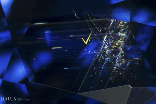 Undissolved rutile silk intersects under the table of this untreated Sri Lanka sapphire.