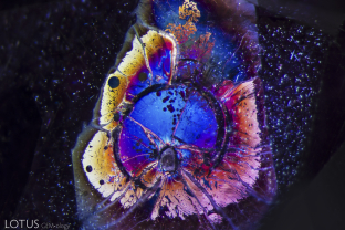A fine fissure radiates out from this crystal in a Madagascar ruby, creating a rainbow-like halo around it.