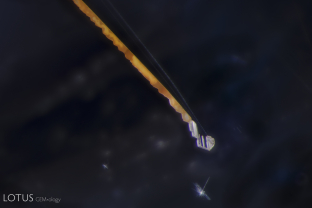 An epigenetically stained growth tube is stands out next to tiny dislocations in this Madagascar spinel.