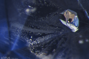 A small black crystal peeks out from inside a negative crystal where it is held inside a Sri Lankan sapphire.