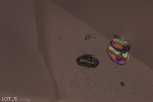 An irregular crystal displays its birefringent nature when viewed in crossed polars.