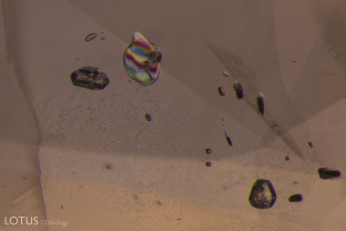 When crystals are viewed in crossed polars, it becomes easy to distinguish birefringent crystals from those that are singly refractive or are negative crystals.