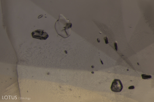 When viewed in lightfield, it can be hard to tell a crystal from a negative crystal, as they have a similar appearance.