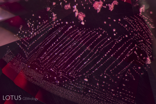 When fissures in spinel heal, they often do so in a distinctive pattern of octahedral negative crystals which align in rows according to the underlying atomic symmetry, as show in this spinel from Tanzania’s Mahenge district.