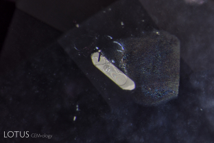 In this flattened negative crystal in a Sri Lankan padparadscha sapphire, multiple phases can be found, including both liquid and gaseous carbon dioxide and a diaspore needle. Because diaspore’s refractive index (nα = 1.682–1.706 nβ = 1.705–1.725 nγ = 1.730–1.752) is so close to corundum (1.762–1.770) the diaspore needle almost disappears into the sapphire, appearing like a narrow indentation into the negative crystal. Liquid carbon dioxide becomes a gas at a fairly low temperature, with just the heat of the microscope causing the bubble to disappear. Intact negative crystals such as this are positive proof that the specimen has not been heat treated.