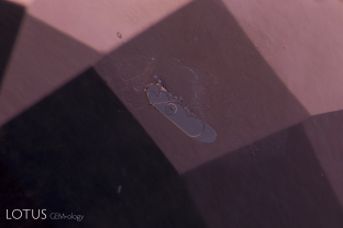 In this flattened negative crystal in a Sri Lankan padparadscha sapphire, multiple phases can be found, including both liquid and gaseous carbon dioxide and a diaspore needle. Because diaspore’s refractive index (nα = 1.682–1.706 nβ = 1.705–1.725 nγ = 1.730–1.752) is so close to corundum (1.762–1.770) the diaspore needle almost disappears into the sapphire, appearing like a narrow indentation into the negative crystal. Liquid carbon dioxide becomes a gas at a fairly low temperature, with just the heat of the microscope causing the bubble to disappear. Intact negative crystals such as this are positive proof that the specimen has not been heat treated.