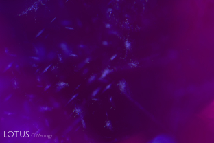 In this untreated ruby from Jegdalek, Afghanistan, tiny exsolved snowflake inclusions are a welcome sight. Such inclusions are rare in ruby, but sometimes seen in blue sapphires from Kashmir (India) and Madagascar.