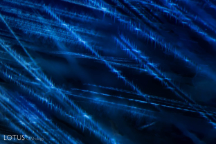 Streams of fine particles zig-zag across this heated sapphire.