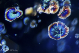 Iridescent fissures around small crystals create a floral motif in this heated sapphire.