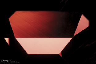 Sharp angular growth zoning is often rare to see, but luckily visible in this spinel.