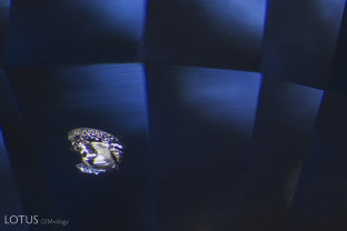 This crystal appears black with darkfield illumination, but when observed with diffuse fiber optic light we can see it has a metallic luster.