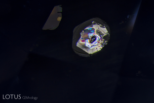 Overhead lighting was used to photograph this scene in a violet sapphire from Sri Lanka, which shows two large mica plates. The undamaged state of the mica reveals that this sapphire has not been subjected to heat treatment.