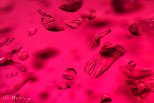 This Tanzanian spinel contained a variety of transparent, singularly refractive crystals. Currently, their identity is a mystery. FOV ~5 mm.