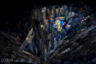 Like butterfly wings, thin liquid inclusions display brilliant iridescence in this trapiche sapphire.