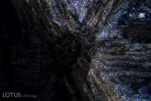 Thin films of liquid light up the interior of a trapiche sapphire.