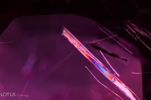 Elongated rods of what is probably amphibole display rainbow interference colors when observed between crossed polars. The interference colors prove the needles are doubly refractive.