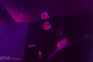 Euhedral crystals of unknown identity in ruby.