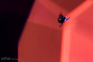 Small black winged cube-like crystal in a Vietnamese spinel; FOV~1.5 mm