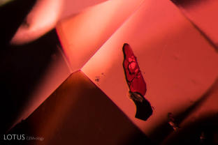 Flat metallic crystal of unknown identity in spinel; FOV ~2 mm