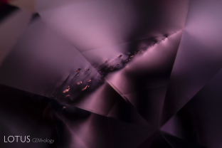 Plane of small spinel octahedra with a strain pattern as viewed between crossed polars.