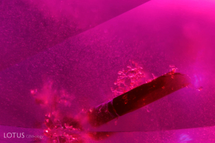 Deep red crystals were found in a Madagascar ruby. Examination with Lotus Gemology’s micro Raman identified them as the mineral staurolite. This is the first example of staurolite found in corundum.