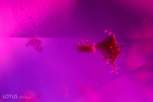 Deep red crystals were found in a Madagascar ruby. Examination with Lotus Gemology’s micro Raman identified them as the mineral staurolite. This is the first example of staurolite found in corundum. These examples are surrounded by what appears to be small zircon crystals.