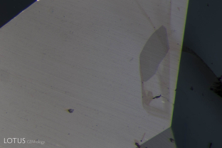 We noticed a transparent birefringent crystal in this blue sapphire from Madagascar. Its luster was lower than the sapphire, indicating a lower RI than the host. Testing with Lotus Gemology’s micro Raman revealed it to be grandidierite. This is the first discovery of grandidierite in corundum.
