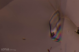 We noticed a transparent birefringent crystal in this blue sapphire from Madagascar. Its luster was lower than the sapphire, indicating a lower RI than the host. Testing with Lotus Gemology’s micro Raman revealed it to be grandidierite. This is the first discovery of grandidierite in corundum.