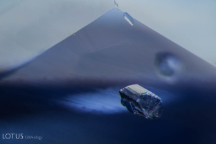 Apatite crystal (ID’d with Lotus Gemology’s micro Raman) in sapphire; FOV 3 mm