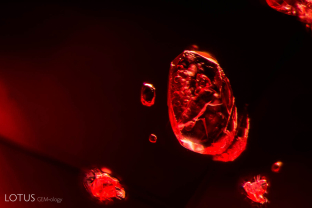 Crystals in spinel. Note the inclusions within the included crystal.
