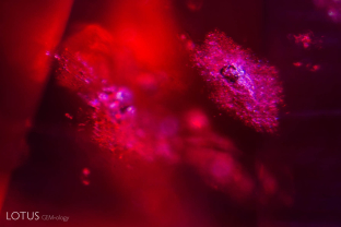 An accretion cloud surrounds a small carbonate-lined negative crystal in this Burmese spinel.