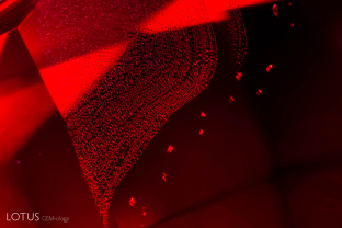 Perhaps the most classic of all spinel inclusions is a fingerprint made up of tiny octahedral negative crystals.